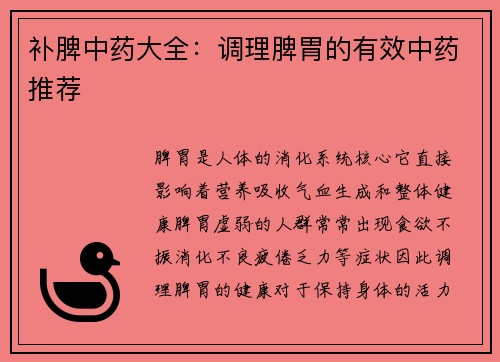 补脾中药大全：调理脾胃的有效中药推荐