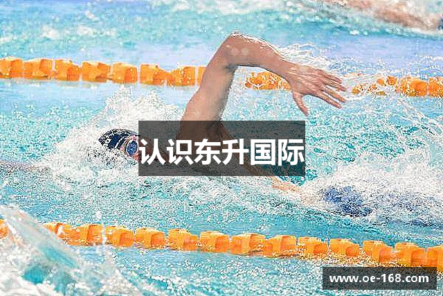 认识东升国际